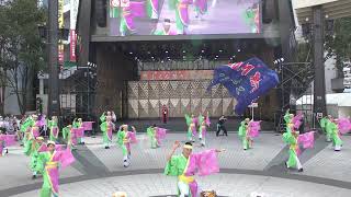 【4K】中目黒MGよさこい（第25回 東京よさこい/池袋西口公園会場）