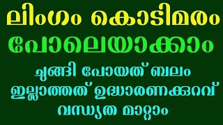 തളരാത്ത ലിംഗം ശക്തിക്ക്