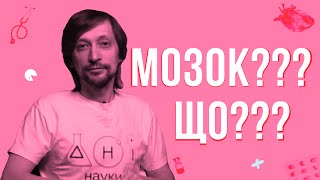 Міфи про мозок - Олексій Болдирєв - Наукуїмо!