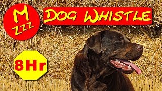 Silent Dog Whistle - Random Whistle Sounds Only Dogs Can Hear - How to Stop Dogs Barking
