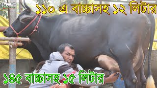 ১১০ হাজারে বাচ্চাসহ ১২ লিটার,১৪৫ হাজারে বাচ্চাসহ ১৫ লিটার ১৯০ হাজারে  ১৭ লিটার সহ বাচ্চাসহ গাভী।