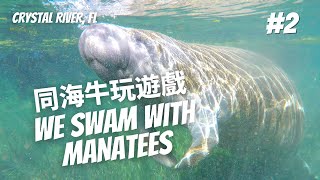 [房車生活2] 我們在佛羅里達和海牛一起游泳🤿！ Crystal River Florida Swimming with Manatees #vanlife