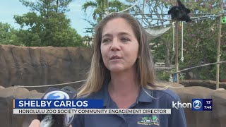 Honolulu Zoo offers 'Love Bites'