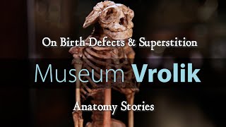 Museum Vrolik - Anatomy Stories 4: On Birth Defects & Superstition