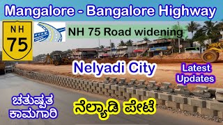 Mangalore-Bangalore Road widening of NH75- Nelyadi City and Underpass