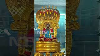 ஸ்ரீரங்கம் அருள்மிகு அரங்கநாதசுவாமி திருக்கோயில் - நம்பெருமாள் ஷேச வாகனம்