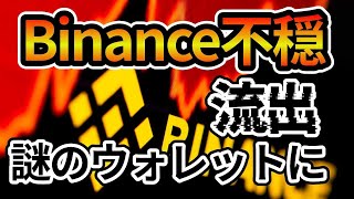 バイナンスの「内部業務」が関与してる!? XRP大量移動の謎を追う！ Whale Alertデータから読み解く、仮想通貨市場の今後の展望とXRPの動き！
