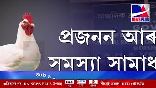 আমি আজি আপোনাক দেখুৱাম চৰকাৰী ফাৰ্মৰ চকু কপালত তুলিব পৰা কিছু ছবি।