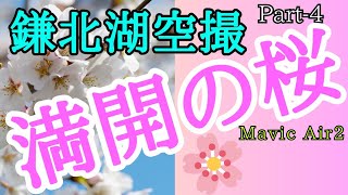 ドローン空撮/Drone Video  鎌北湖 満開の桜風景\u0026BGMと共にお楽しみください🌸🌸