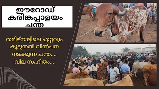 ഈറോഡ് കരിങ്കപ്പാളയം ചന്ത ....Erode karingapalayam chantha...erode cattle market..