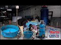 RAS Equipment | Aquaculture Engineering | RAS Project Design