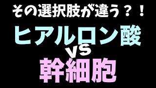 ヒアルロン酸 VS 幹細胞【#085】