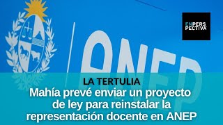 Nuevo gobierno busca reinstalar representación docente en consejos de la ANEP