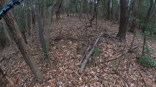 里山歩き 白岳山 標高 110m 広島県呉市広 2025-01-17 sa-2 camera gopromax