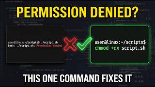 Linux Permission Denied? This chmod Command Solves It