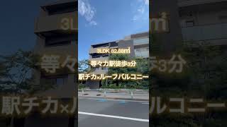 【等々力駅徒歩3分】広々ルーフバルコニーでchill time♪  収納力の高さがウリの等々力エリア3LDK分譲賃貸マンション