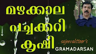 മഴക്കാലത്തെ പച്ചക്കറി കൃഷി ശ്രദ്ധിക്കേണ്ട കാര്യങ്ങൾ