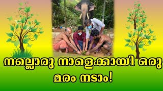 നല്ലൊരു നാളെക്കായി ഒരു മരം നടാം! | Environment Day Special | Puthuppally Kesavan | Manoj Puthuppally