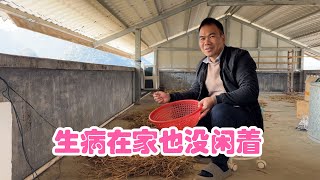 阿金感冒也没歇着，在家给小翠捆姜叶，第二次抓药已有好转