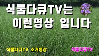 식물다큐TV는 이런 영상입니다 (채널 소개 영상)