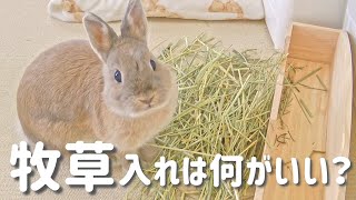 飼い主の思考をはるかに超えてくるうさぎさん。