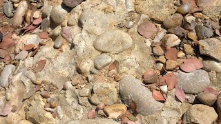 OnTopic: Rocks--The Building Blocks of Mission Trails Regional Park