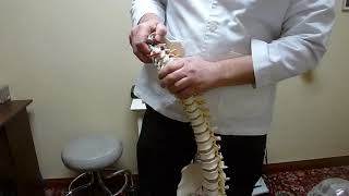Chiropractor explains why popping your own neck can KILL you.