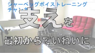 【ボイトレ】呼吸と支えを一から徹底解説【発声】#362