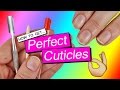 NAIL CARE ♥ PERFECT CUTICLES || New Words, Cuticle Care & WHY? NAIL CARE ♥ PERFECT CUTICLES || New Words, Cuticle Care & WHY?