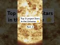 top 5 largest stars in the universe 🌟 shorts