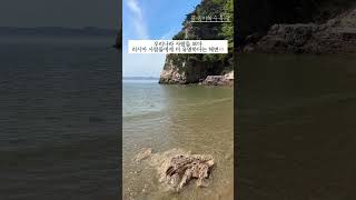 한국인보다 외국인들에게 더 유명하다는 해변🏖️, 갈음이해수욕장 #국내여행 #태안 #shorts