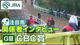 【注目馬 関係者インタビュー】2024年 CBC賞｜JRA公式