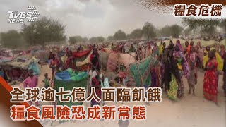 【糧食危機】全球逾七億人面臨飢餓 糧食風險恐成新常態｜TVBS新聞 @TVBSNEWS02