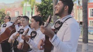 Mañanitas Especiales para una Hermosa Quinceañera 🎉✨ | Mariachi en Vivo #durango  #15años #mezquital