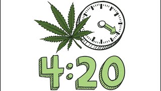 420 Ultimate hotbox video !!!