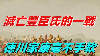 滅亡豐臣氏的一戰，德川家康毫不手軟，日本戰國亂世徹底終結【真正歷史】#豐臣氏 #历史#德川家康