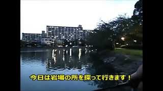 【実釣】新左近川親水公園 「ハゼの居そうな岩場の所を探ってみました」2014.9.12【ハゼ釣り調査隊 Goby fishing expedition】