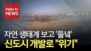 ′생태계 보고 들녘′...신도시 개발로 '훼손 우려'