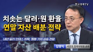 치솟는 달러·원 환율 연말 자산 배분 전략ㅣ김역익ㅣ환율ㅣ달러 강세ㅣ원화 가치ㅣ경상수지흑자ㅣ주식 시장전망ㅣ