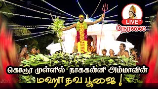 #live 🔴 கொடூர முள்ளில் நாககன்னி அம்மாவின் மஹா முள்தவ பூஜை 🐍 #sooranikarai   #update #tamilnadu