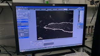 Using the apotome on a Zeiss epifluorescence microscope