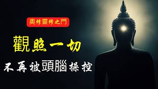 停止思考的藝術：觀照的終極奧秘！| 奧修 | 禪宗十牛圖 | 靜心 | 觀照 | 奧修智慧 | 放下思維 | 覺知 | 如何活在當下 | 找回真實自我 | 心靈成長 | 靈性覺醒 | 內在平靜