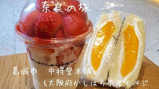 人気和菓子【中将堂本舗】草餅　葛城市　　大阪府柏原市　モモベジ　momovege フルーツサンド　イチゴスイーツ　中将餅　よもぎ餅　行列店　奈良　餅　人だかり