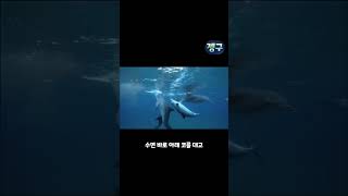 돌고래들의 환각파티(feat. 복어)