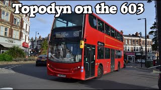 *TOPODYN* Journey on Route 603 - ADL Enviro400/E40D - Sullivan Buses E53 (SN11BNX)