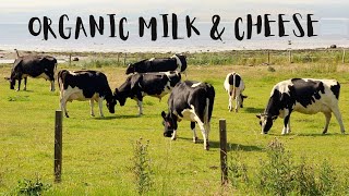 Organic Milk And Cheese At Connage Highland Dairy | Scotland Travel