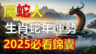 2025蛇年蛇生肖運勢十二宮位全解析！命理師#生肖運勢 #生肖 #十二生肖