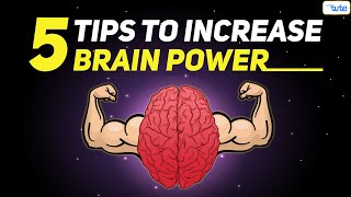 How To Increase Your Brain Power | 5 Effective Tips To Improve Memory | Letstute