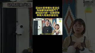 混血杜賓帶著杜賓造反，狗咖都快被搞關門了，誰知訓犬師一招關禁閉，帶頭大哥竟秒變慫包