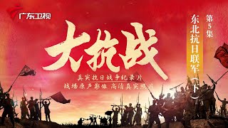 005 东北抗日联军 (下)【大抗战】#抗日战争 #纪录片